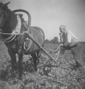 EKRK, Foto 139