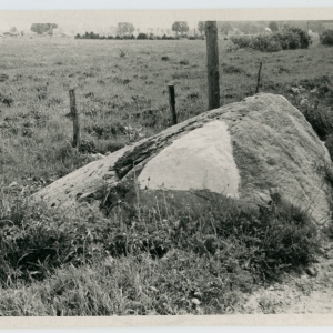 ERA, Foto 8434