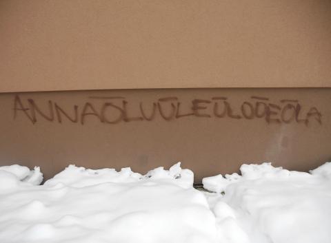 Graffiti seinal tekstiga "ANNAÕLUÜLEÜLOÕEÕLA".