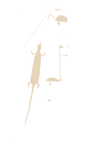 fig.9