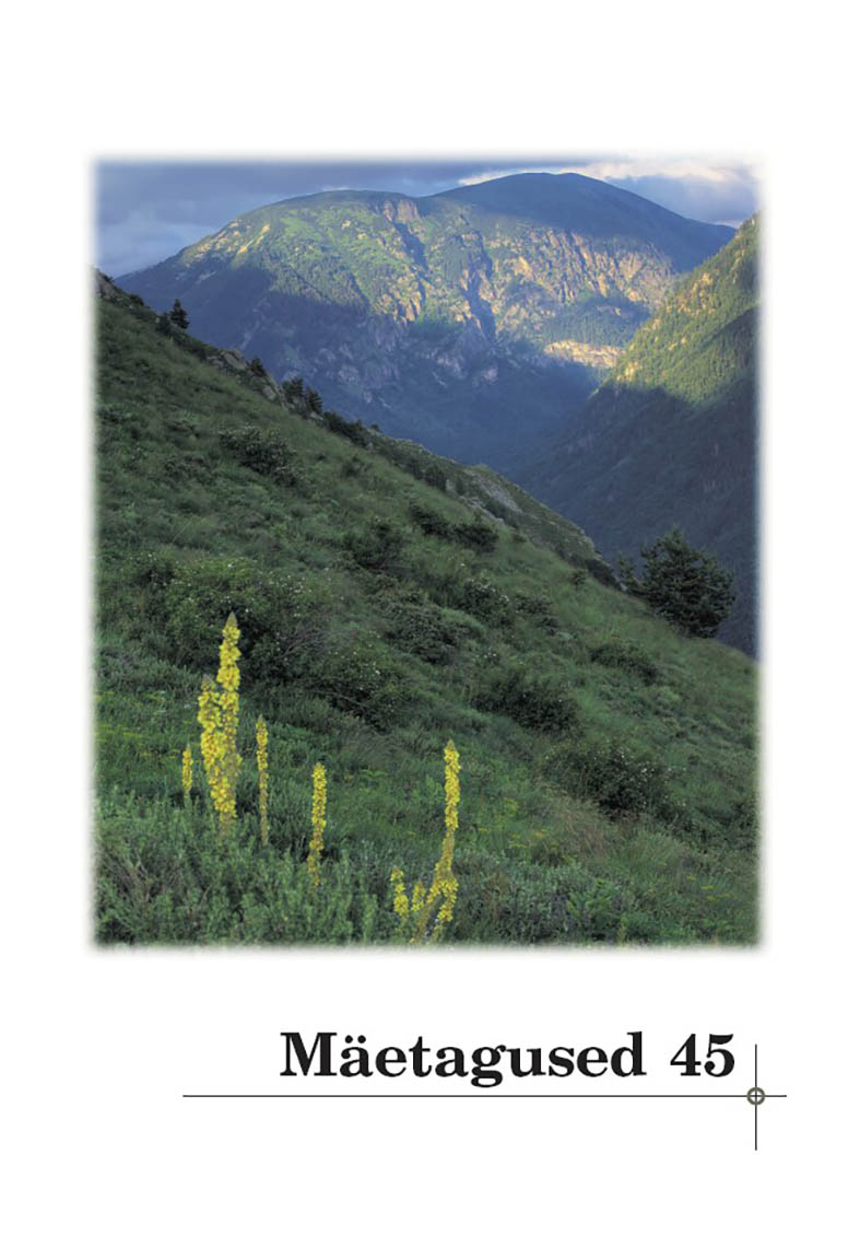Mäetagused 45