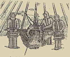 Swimming 
across the Sea of the dead