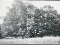 juuni 1980  Kütiorul jaaniõhtul