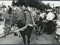 2. august 1986  Setomaa, Obinitsa k. IV Leelopäev.   Kes pildil?  Foto: Aivar Palmre