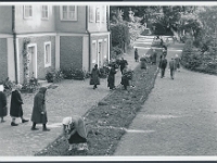 august 1989  Petseri. Valmistumine maarjapäevaks? Foto: Pertti Virtaranta